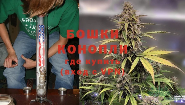 PSILOCYBIN Бородино