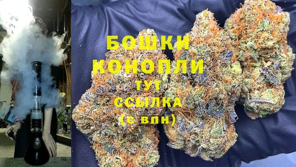 PSILOCYBIN Бородино