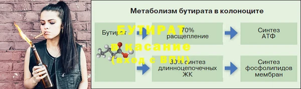 PSILOCYBIN Бородино