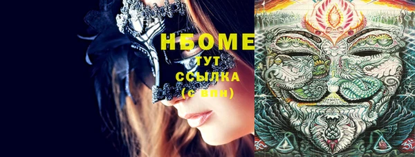 PSILOCYBIN Бородино