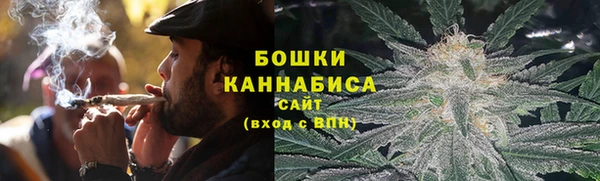 PSILOCYBIN Бородино