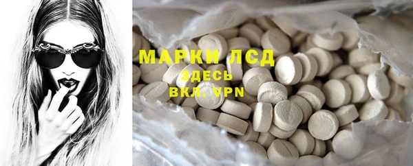 PSILOCYBIN Бородино