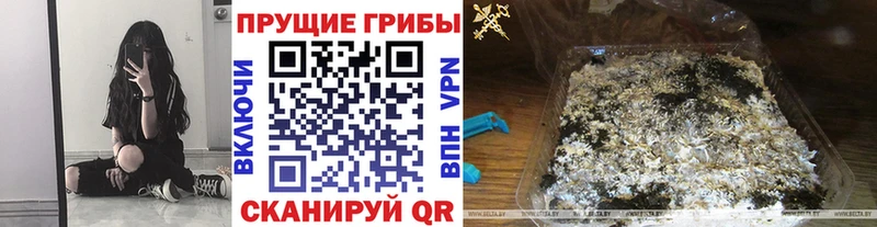 даркнет сайт  Южно-Сахалинск  Псилоцибиновые грибы мухоморы 